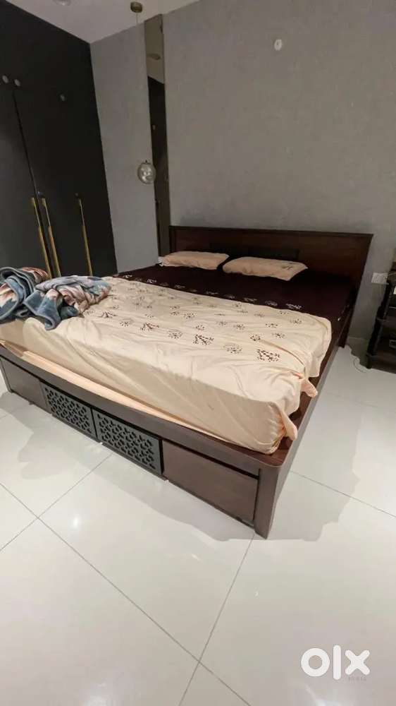 Brand new bed cot and mattress for sale