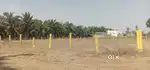 Plots near Pottipadu for sale
