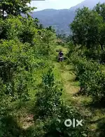 Land for sale 1.49 Acre