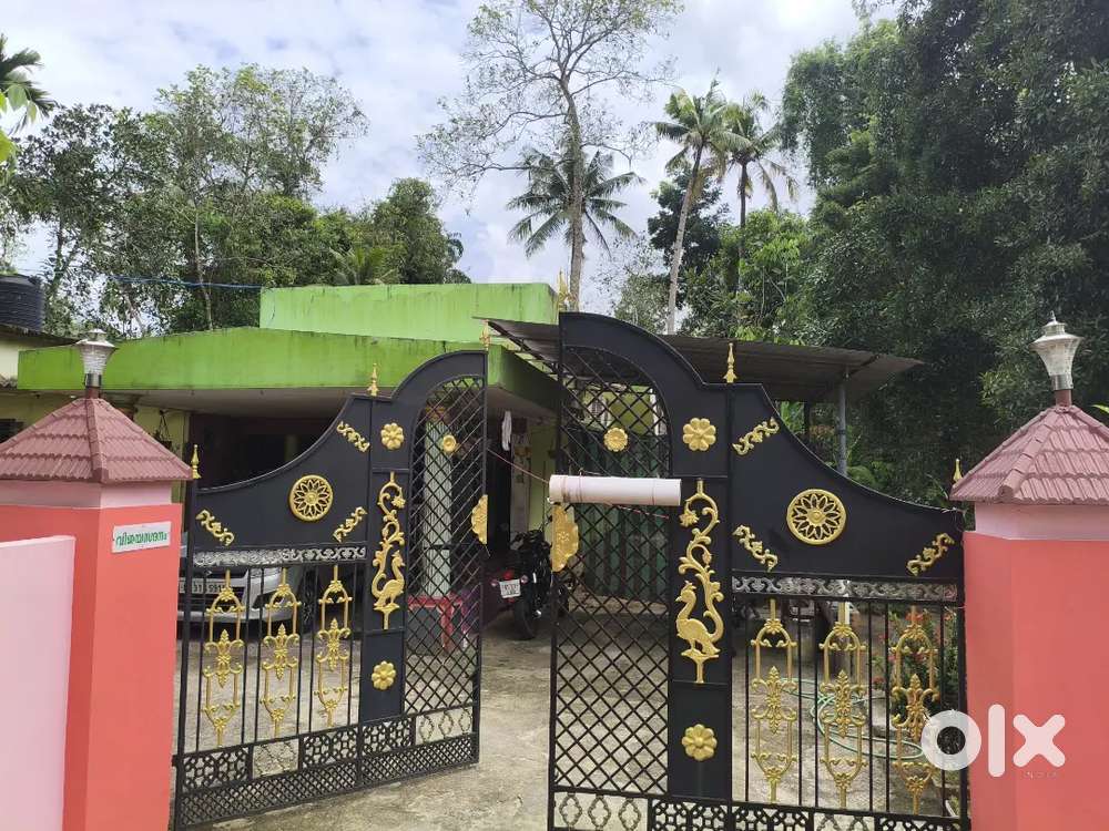 4bhk Independent house and 29 cent land for sale