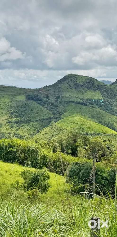 Land for sale in Vagamon. 20 cents  to 4 acre plots available.
