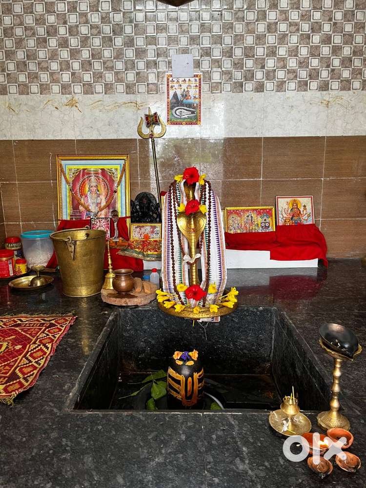 2.5 BHK  1133 Sqft  Sky Panorama Apartment  Matiapada