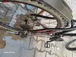 Long horn bicycle
