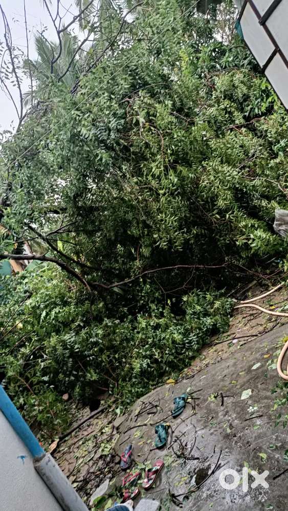 Spa therapist  and telecaller