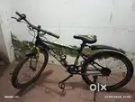 Brand new cycle
