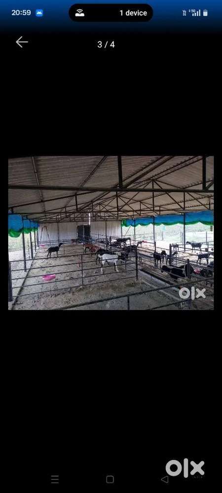 Goat or poultry farm shed material