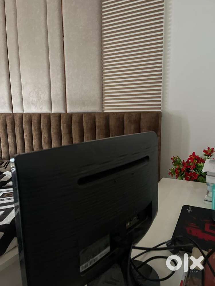 Computer monitor screen