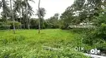 56Cent plot, Plot division sale, Mulankunnathukavu