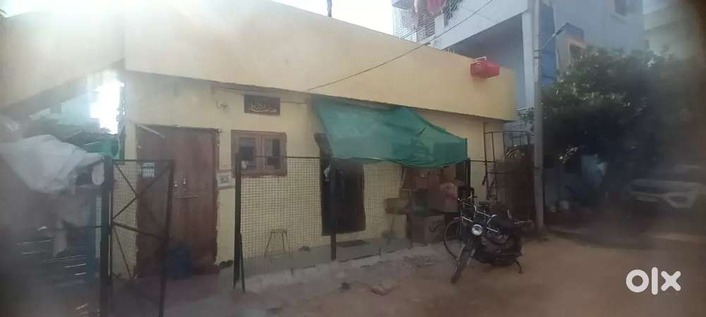 Arjent sale 51yards house litle crose bite