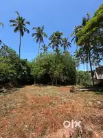 19cent plot for sale mogral big nangi
