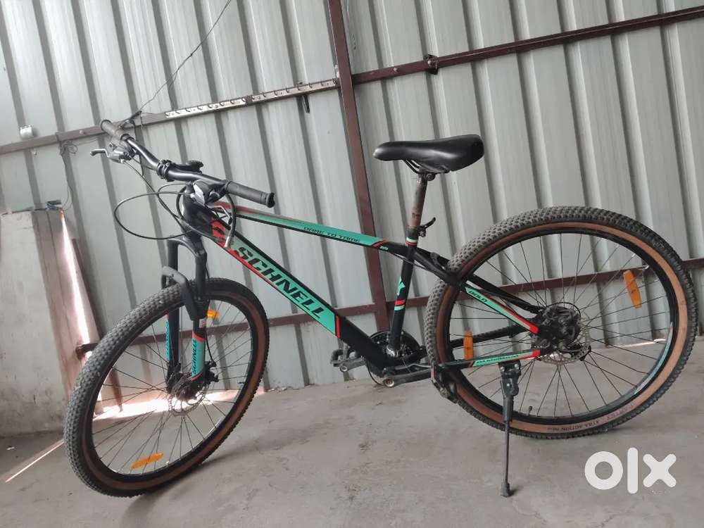 SCHENELL (Dare To Tame)