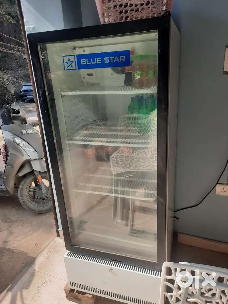 Bluestar fridge for sale