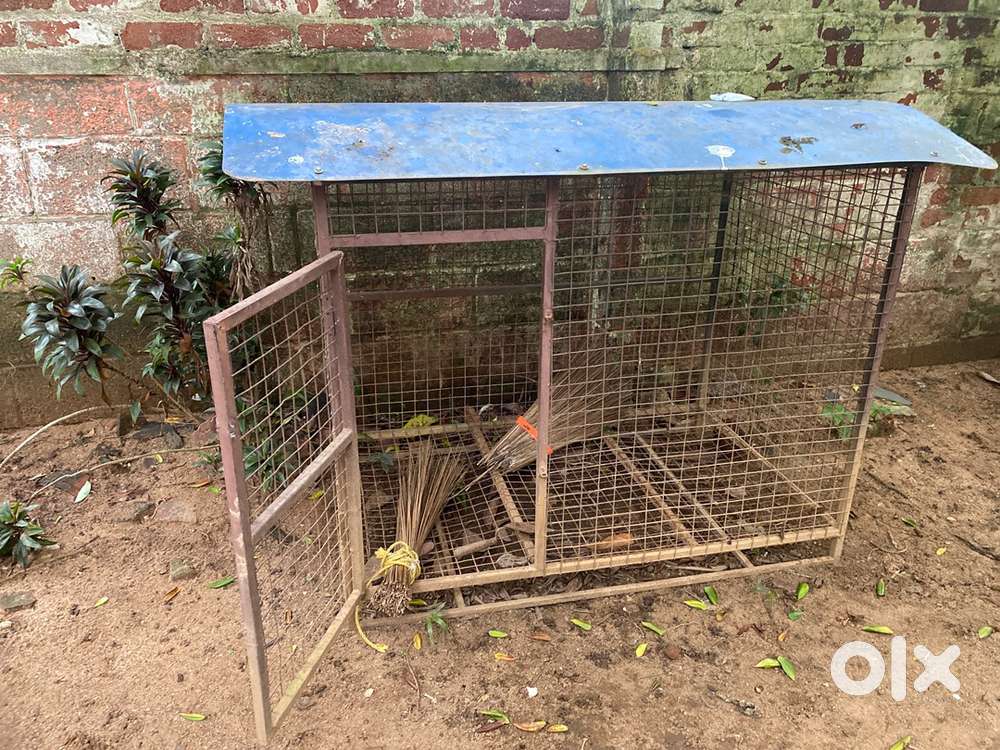 dog cage for big dogs