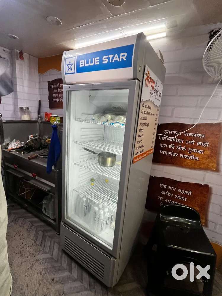 Blue Star Fridge 320 Litter