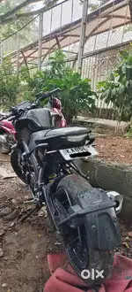 Yamaha MT 15