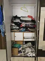 Adult wardrobe