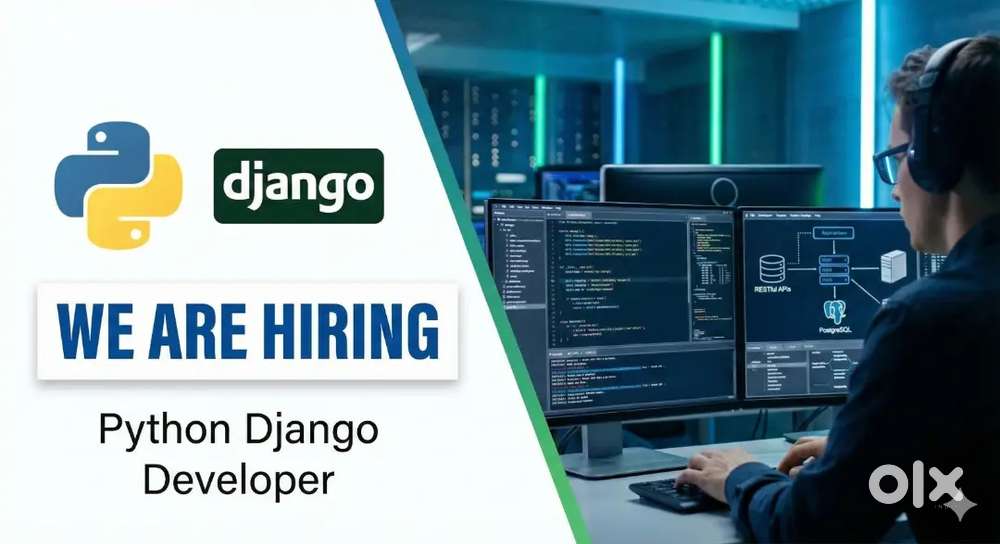 PYTHON DJANGO DEVELOPER