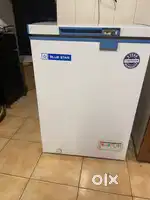Deep Freezer- Blue Star- Small size