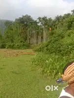 P0l0 road sibe