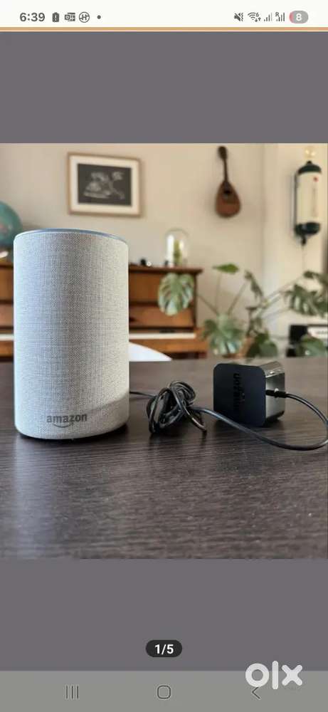 Alexa Echo