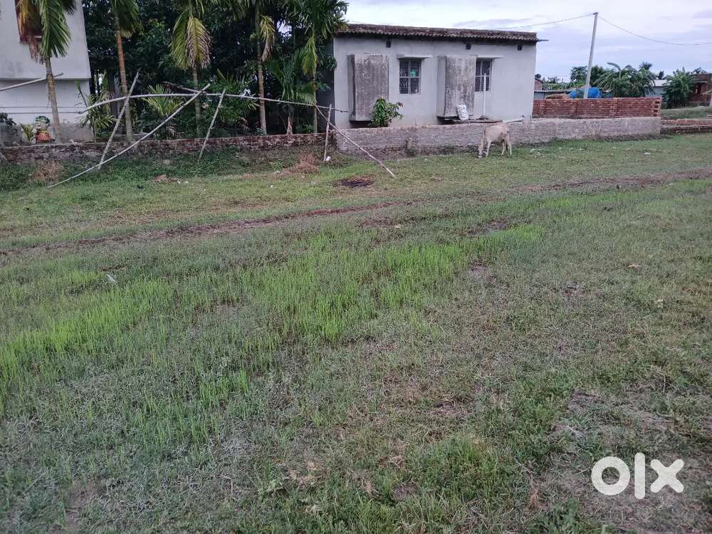 Ialnd for sell in piali