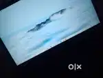 Chromebook plus 514