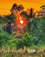 150 cents plot in adimali ayiramekkar