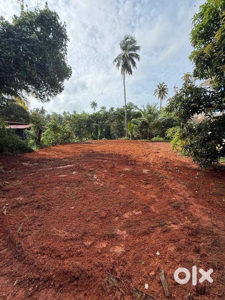 20 cent or 10 cent plots for sale at rathickal, vettoor, varkala