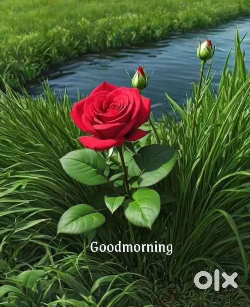 Required auto driver