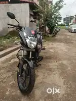 CB Unicorn
