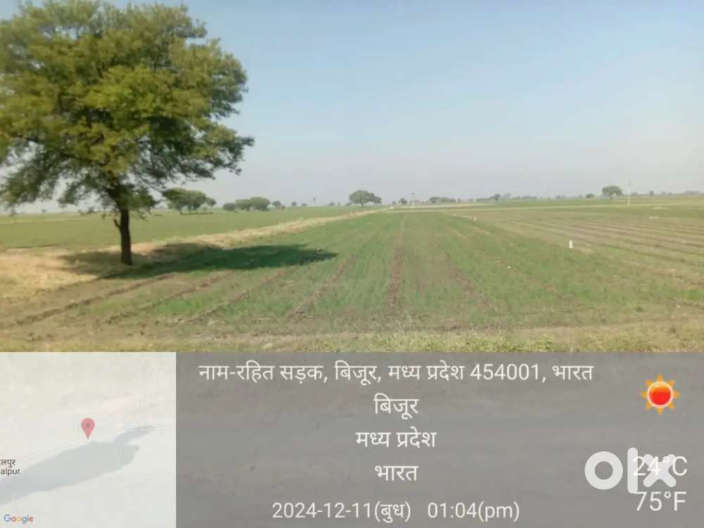 1 बीघा जमीन बेचना है। कीमत 65 लाख रुपऐ।