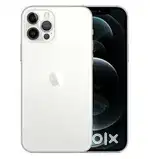 12 pro max