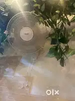 Fan  for house  and shop