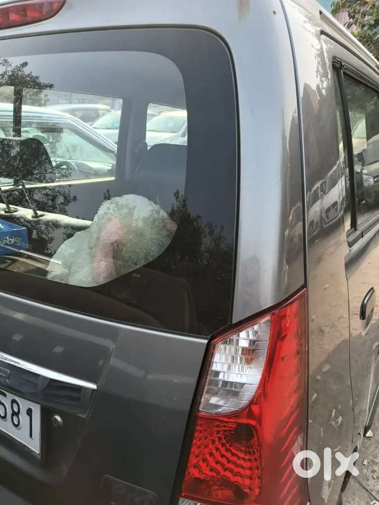 Maruti Suzuki Wagon R 2016 Petrol 60000 Km Driven