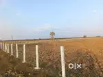 Farm land @ cheap price