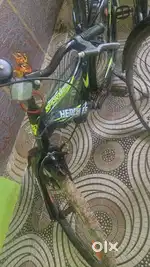 1 year old cycle