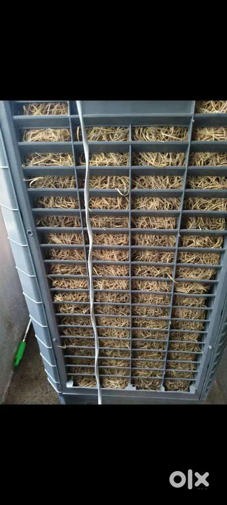 It's in very good condition