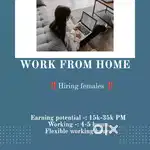 Opportunity to fresher/experience