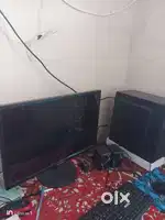2 month old and  has 1 yeasr warranty