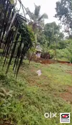 House plot for sale in Kulappully, Palakkad