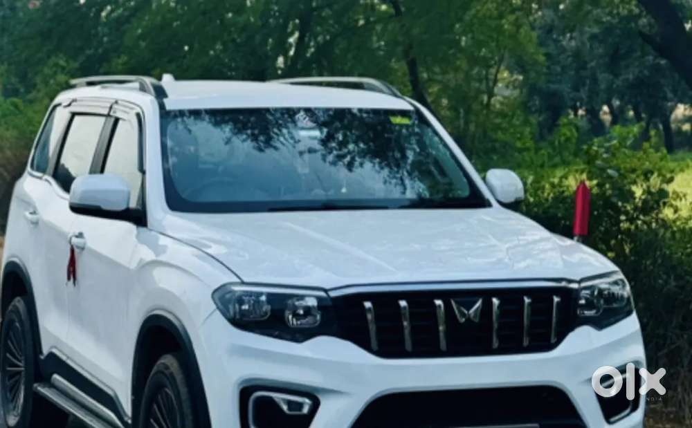 Valid driving license and suv ke liye trained hona chaiye