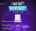 ACCOUNTANT, MARKETING AND SALES  EXECUTIVES
