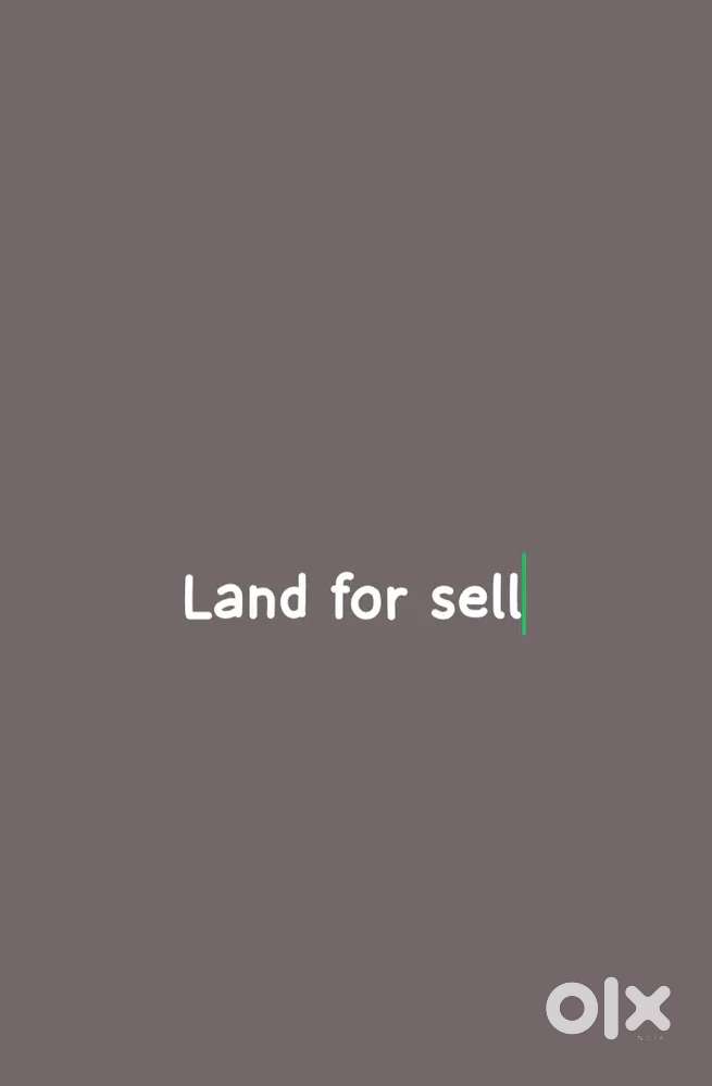 3.5 Bigha mydi patta land for sell 16.5Lakh per bigha