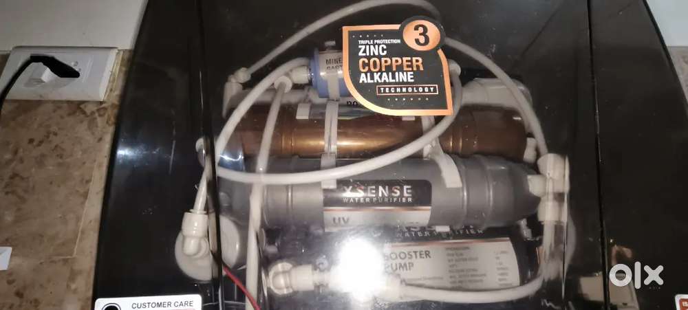 4 months old only service need