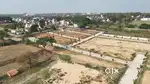 Erayaa nandi gardenia