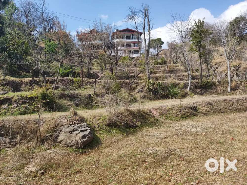 5.10 bigha land for sale in Gandhigram solan Hp