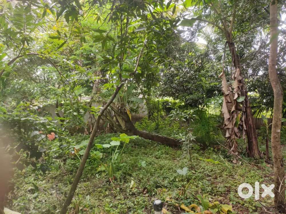 Housing plot for sale near Mannuthy , residential area
