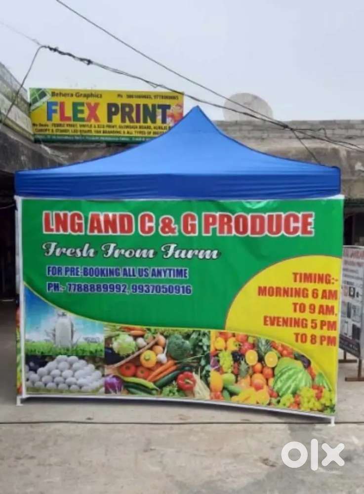 Graphic Designer
