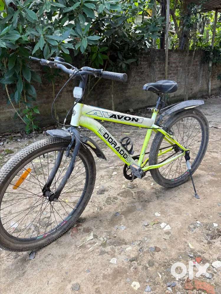 Avon cycle