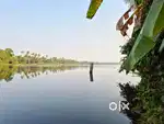 40Cent Water Front Land With Old House Near Varapuzha Town